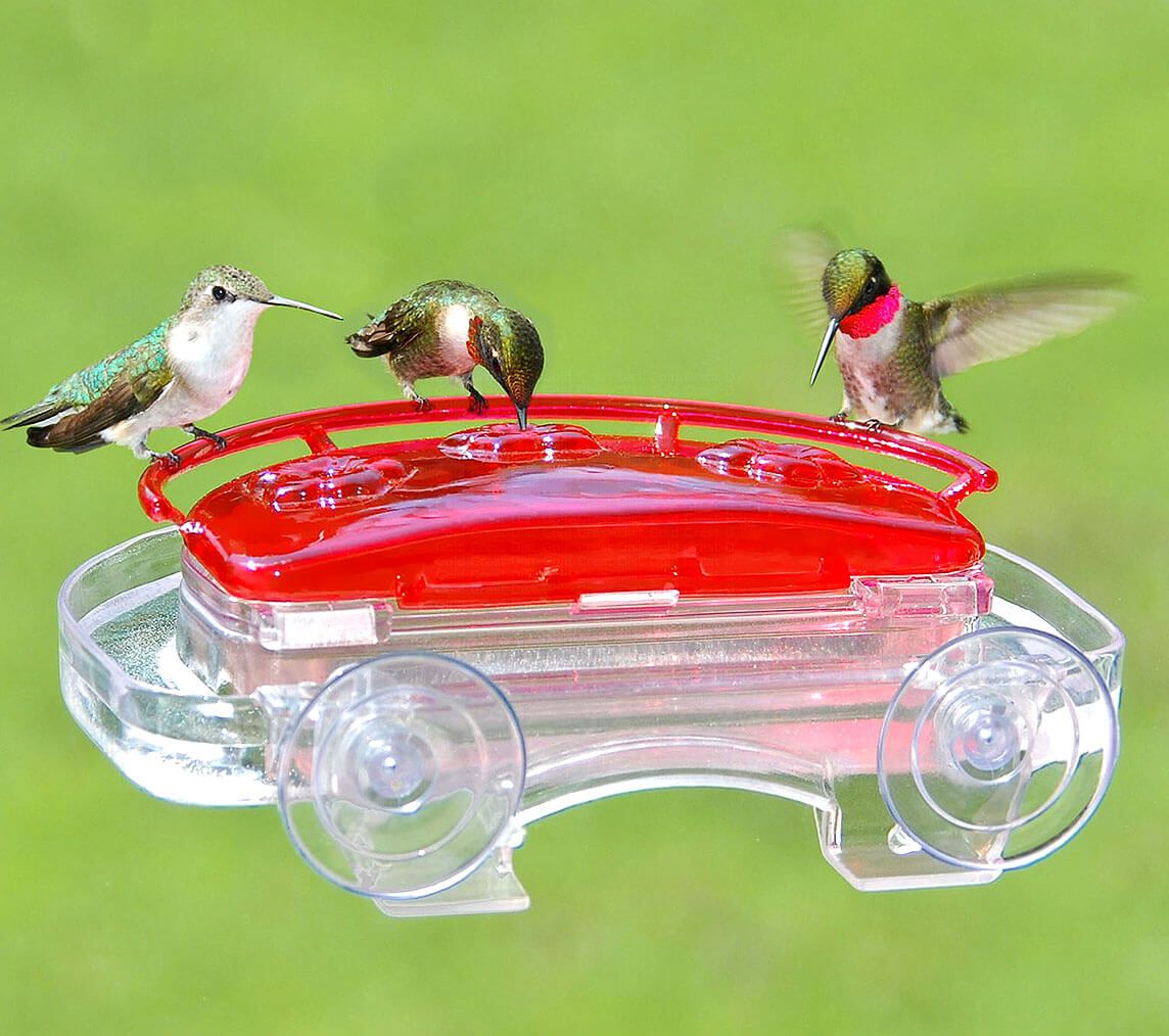 Hummingbird Window Feeder